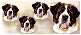 Dog Wrap - St. Bernard